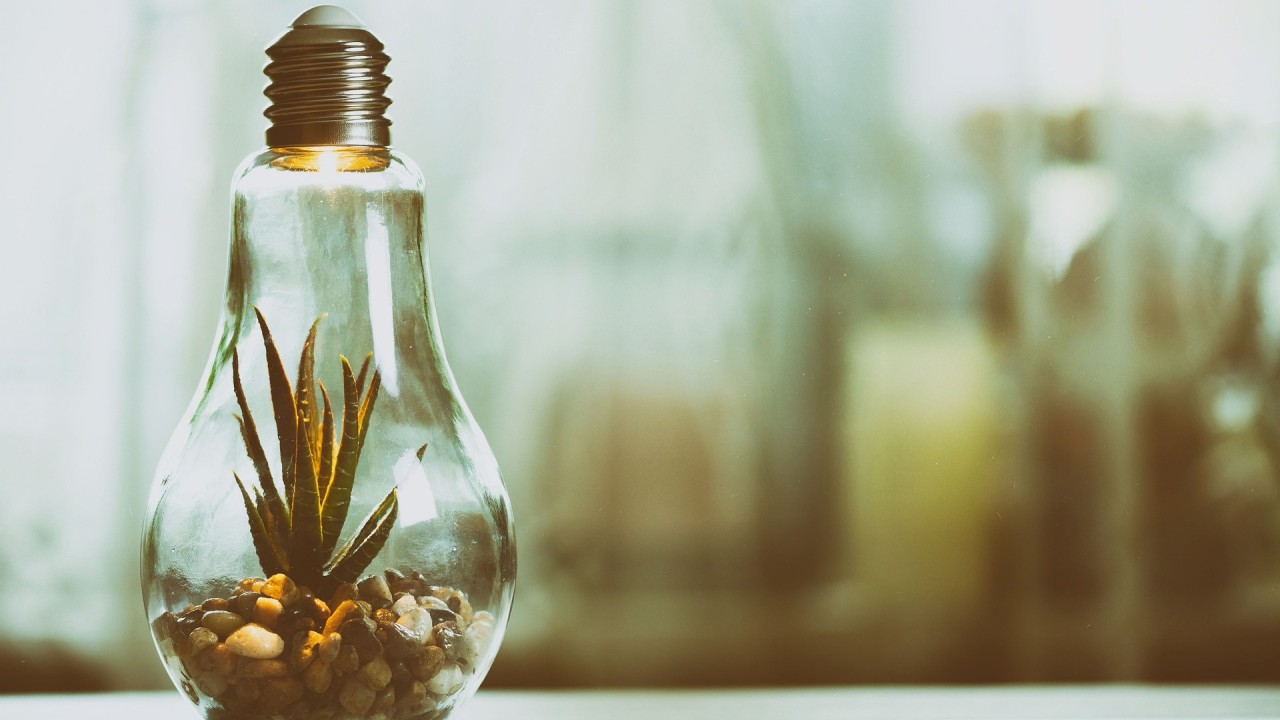 Word Has Lost All the Meanings